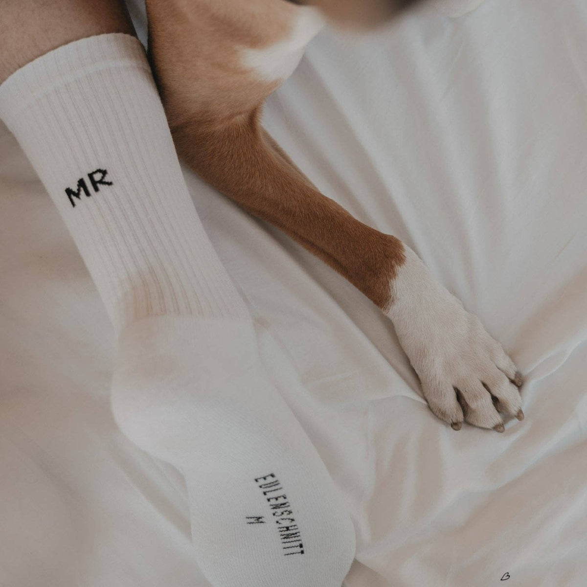 Socken Mr (VE = 5 Stück)